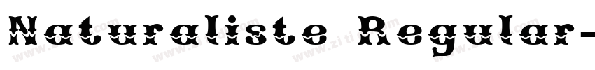 Naturaliste Regular字体转换 Naturaliste Regular字体转换